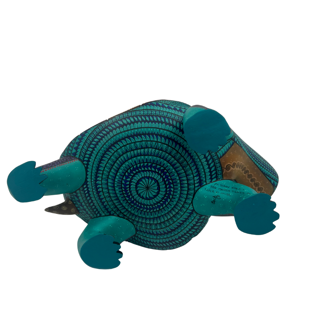 Tortuga de los Sueños Lentos