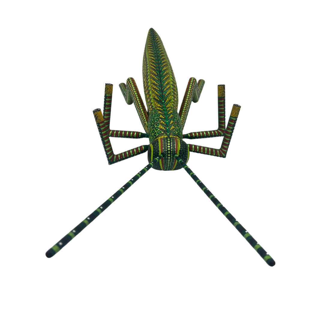 Chapulín del Viento