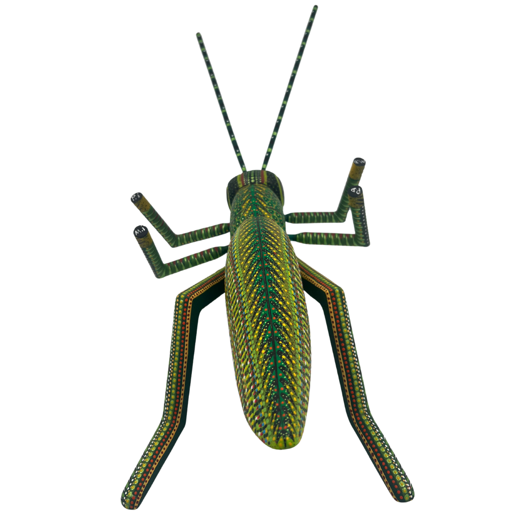 Chapulín del Viento