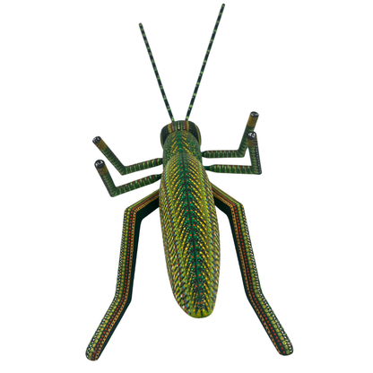 Chapulín del Viento