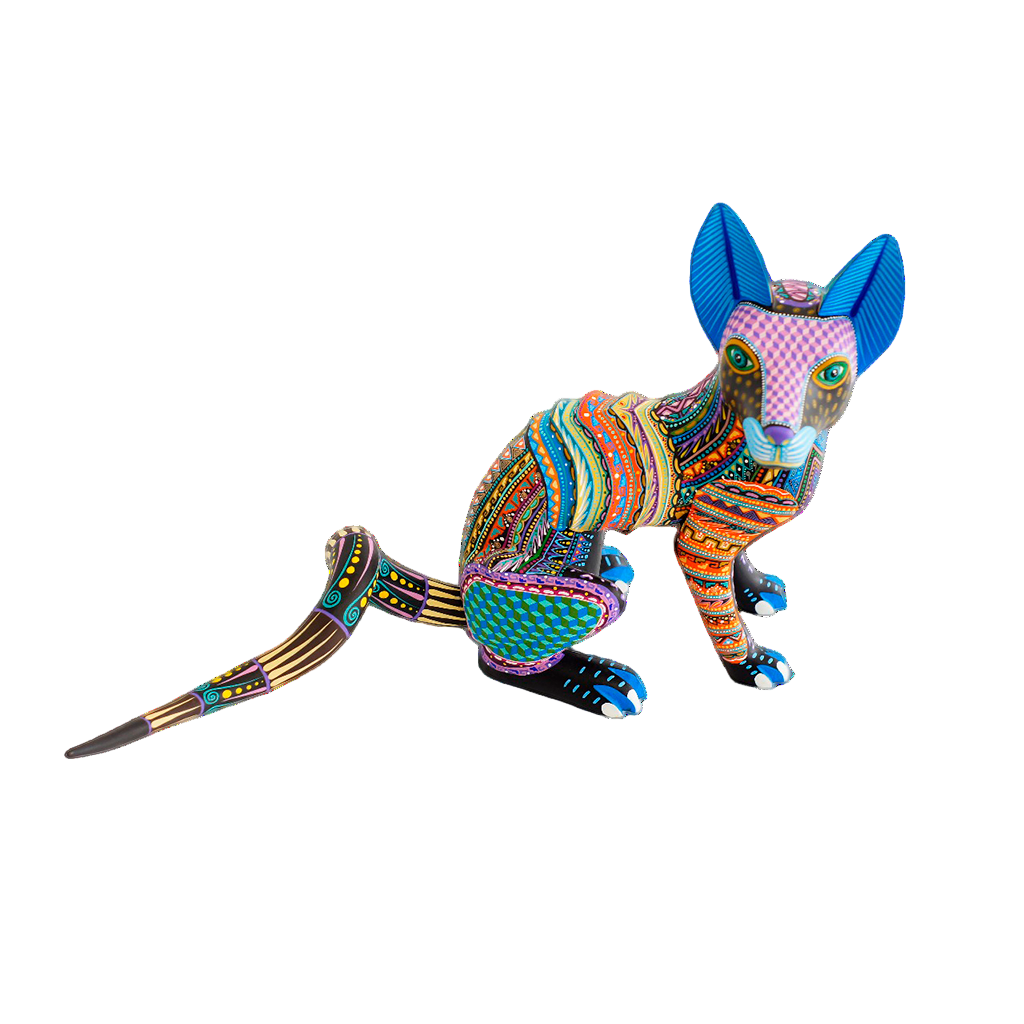 Perro Xoloitzcuintle de Fuego