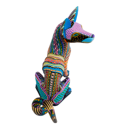 Perro Xoloitzcuintle de Fuego