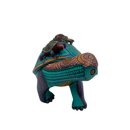 Tortuga de los Sueños Lentos