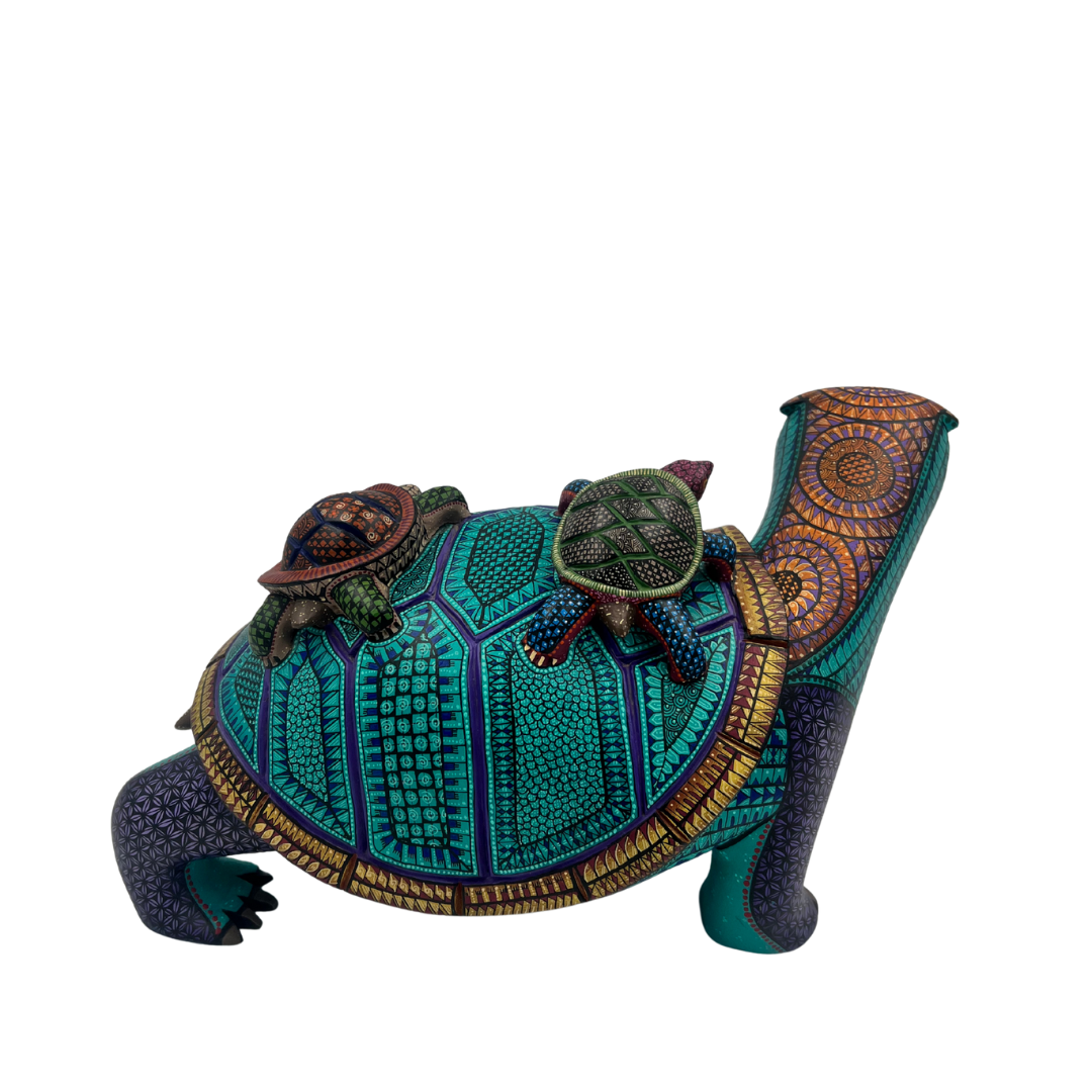 Tortuga de los Sueños Lentos