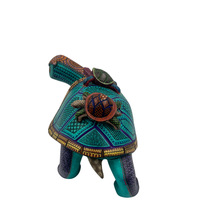 Tortuga de los Sueños Lentos