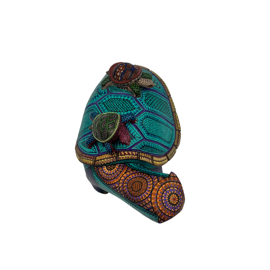 Tortuga de los Sueños Lentos