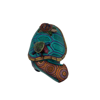 Tortuga de los Sueños Lentos