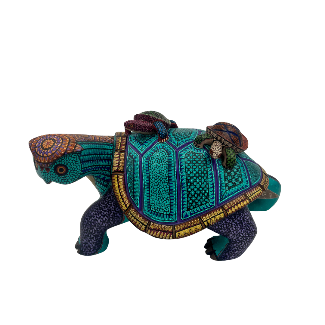 Tortuga de los Sueños Lentos