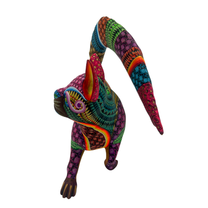 Zorro de los Mil Colores