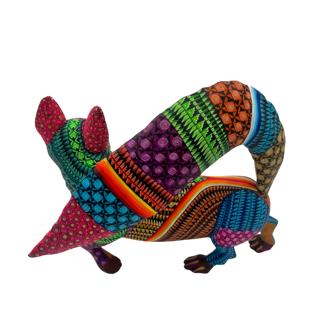 Zorro de los Mil Colores