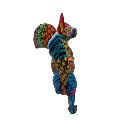 Zorro de los Mil Colores