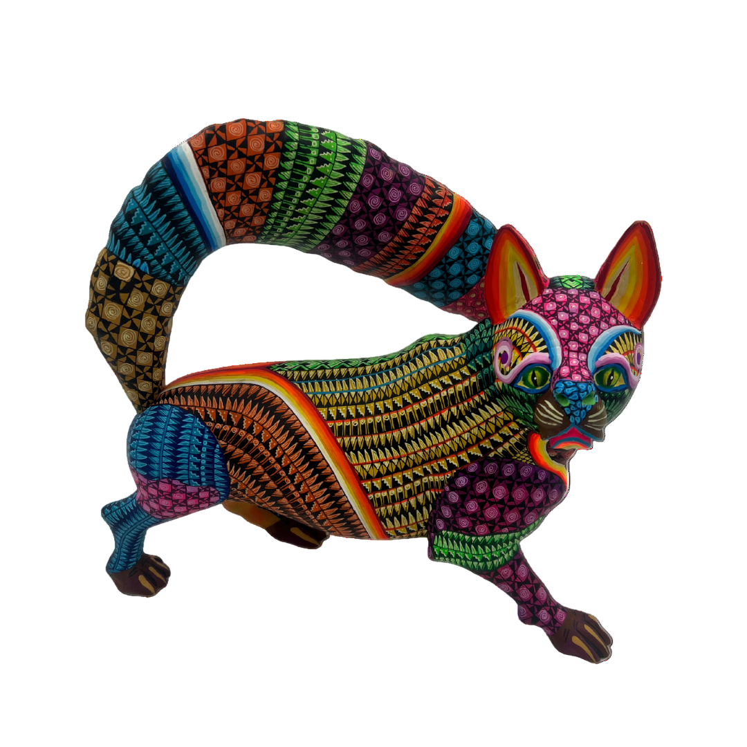 Zorro de los Mil Colores