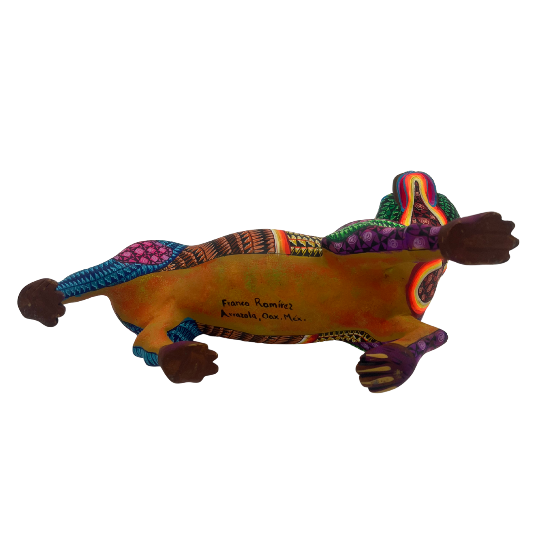 Zorro de los Mil Colores